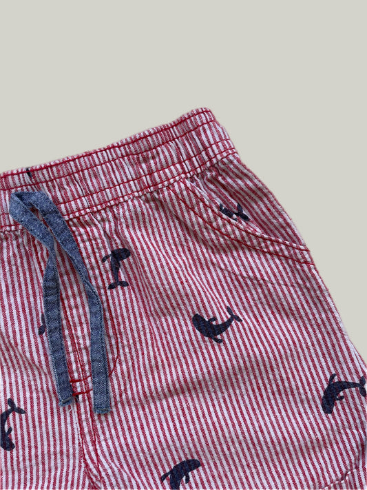 Good Condition Jainco Cotton Shorts