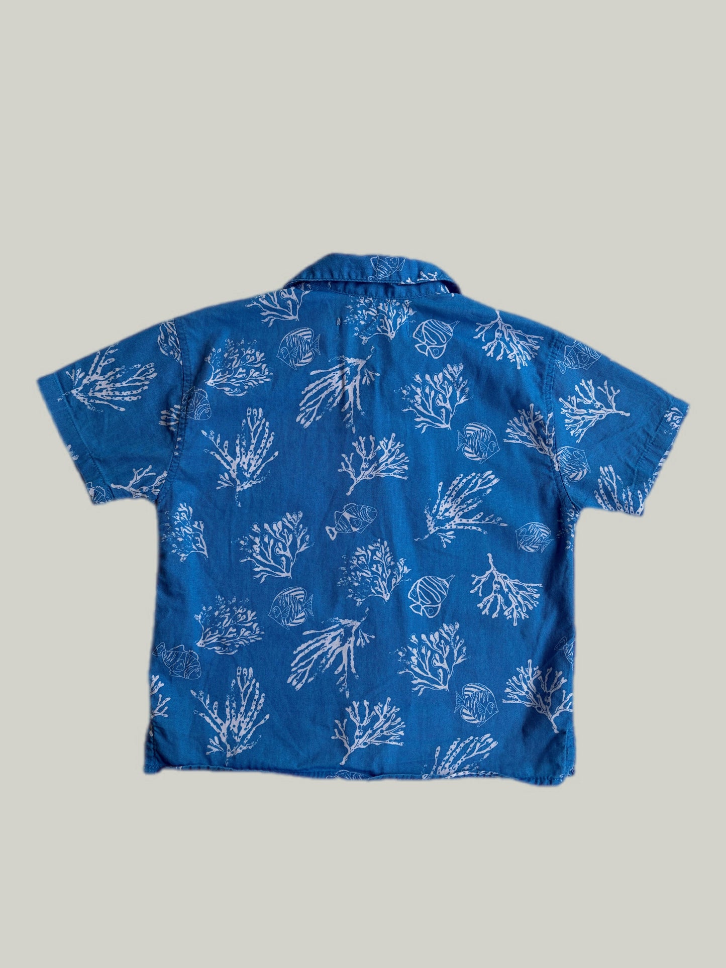 Good Condition Zara Summer T-shirt