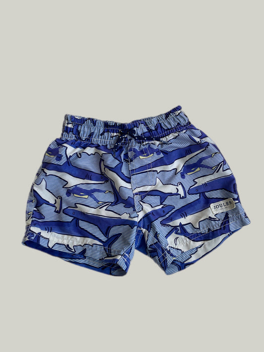 Good Condition Joules Swim Shorts