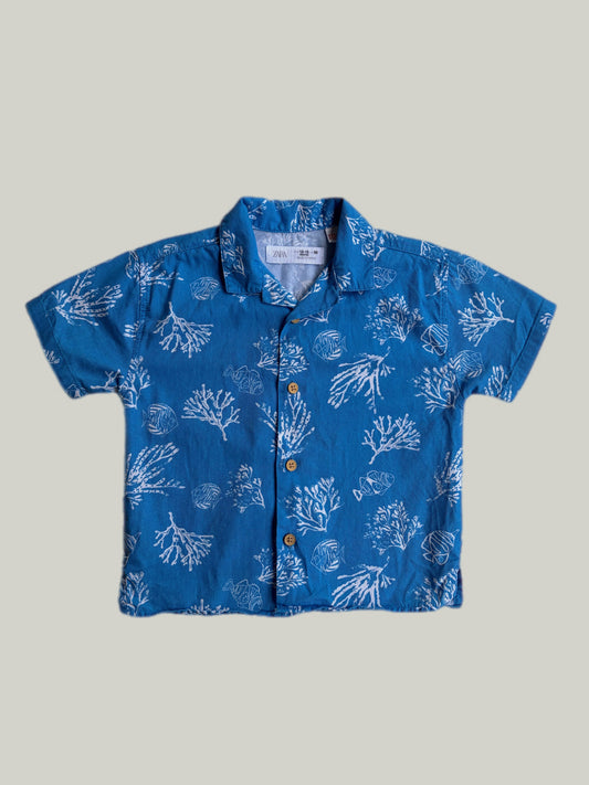 Good Condition Zara Summer T-shirt