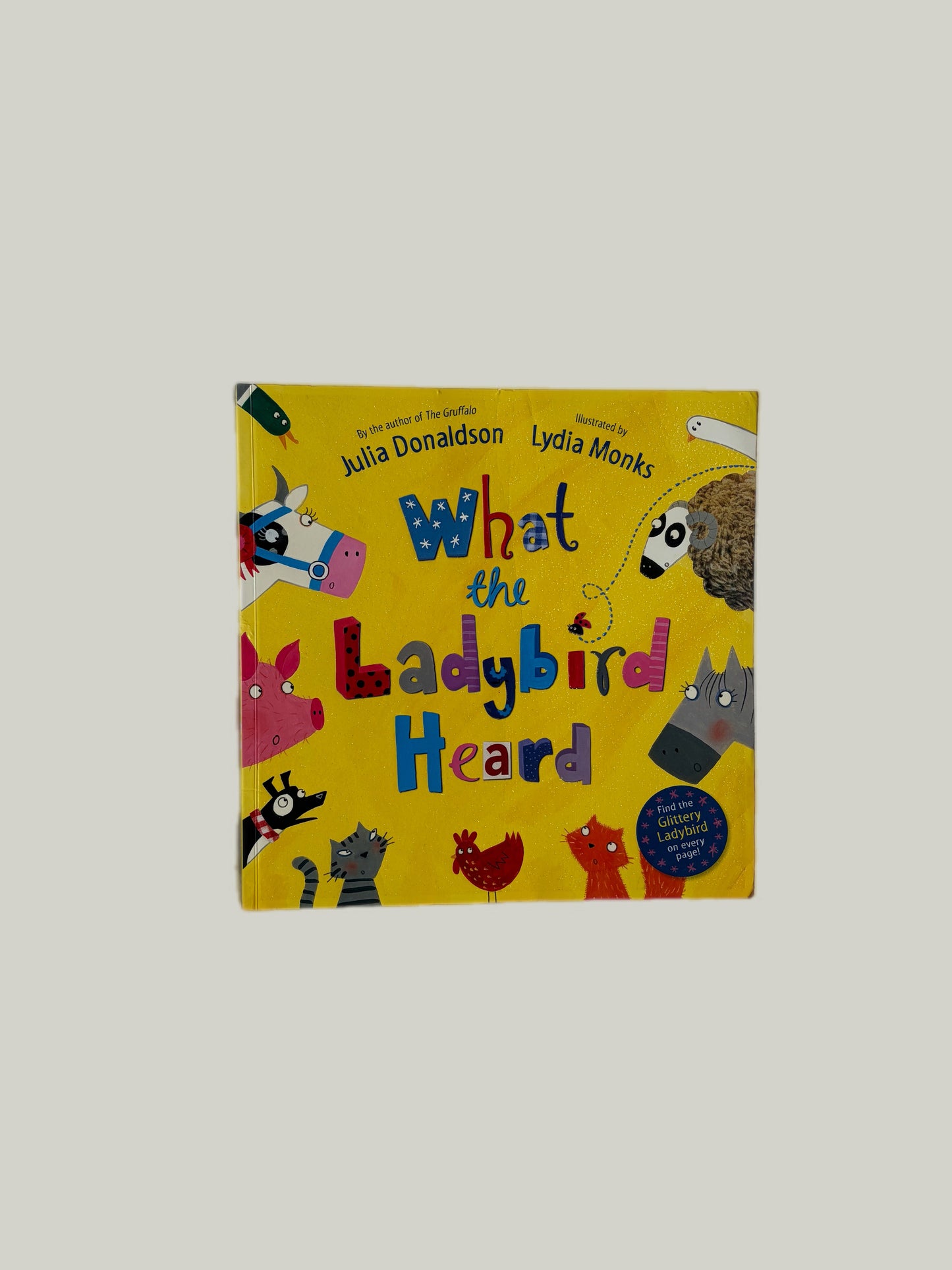 Good Condition What The Ladybird Heard