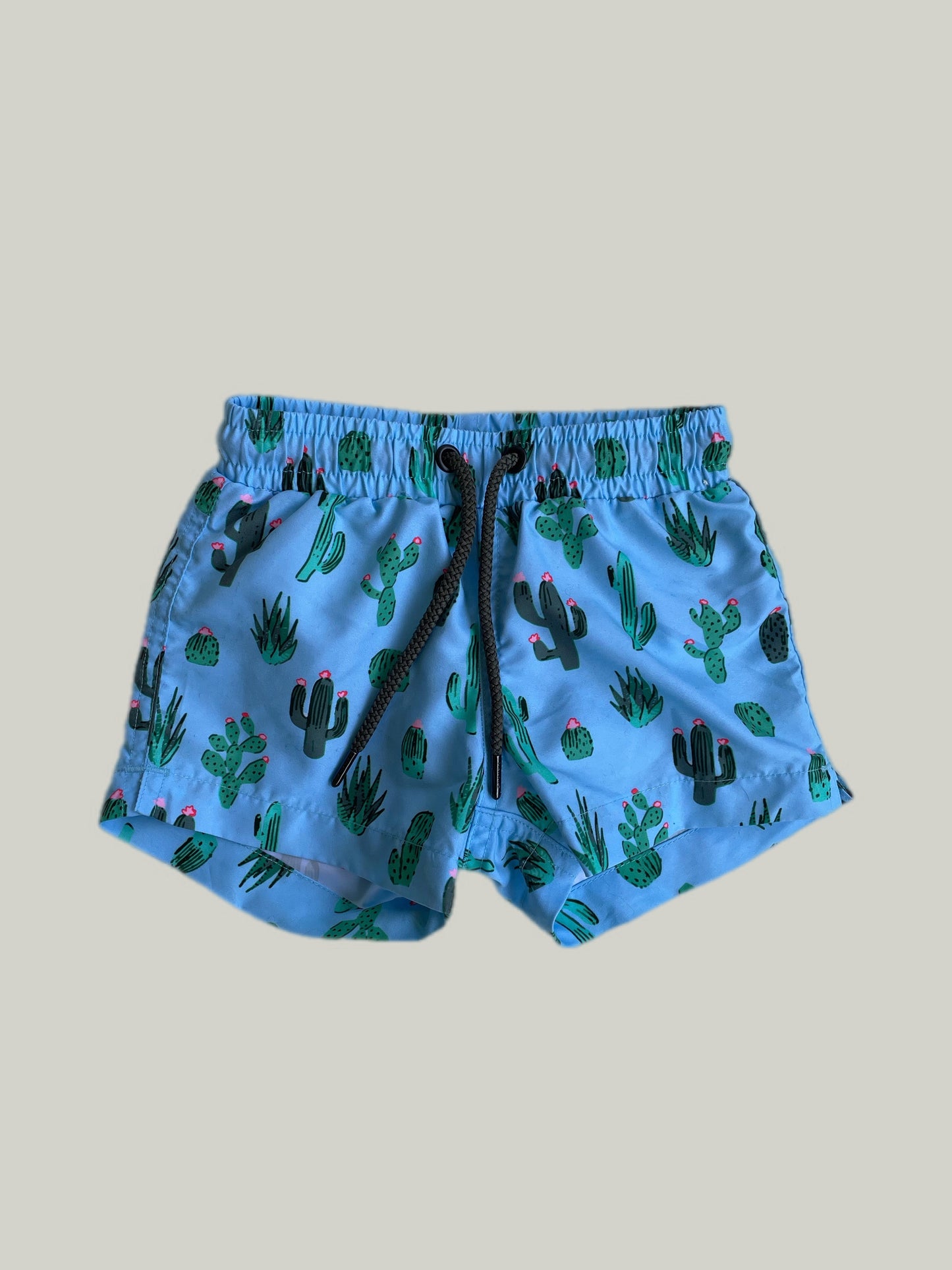 Brand New Sunuva Cactus Swim Shorts