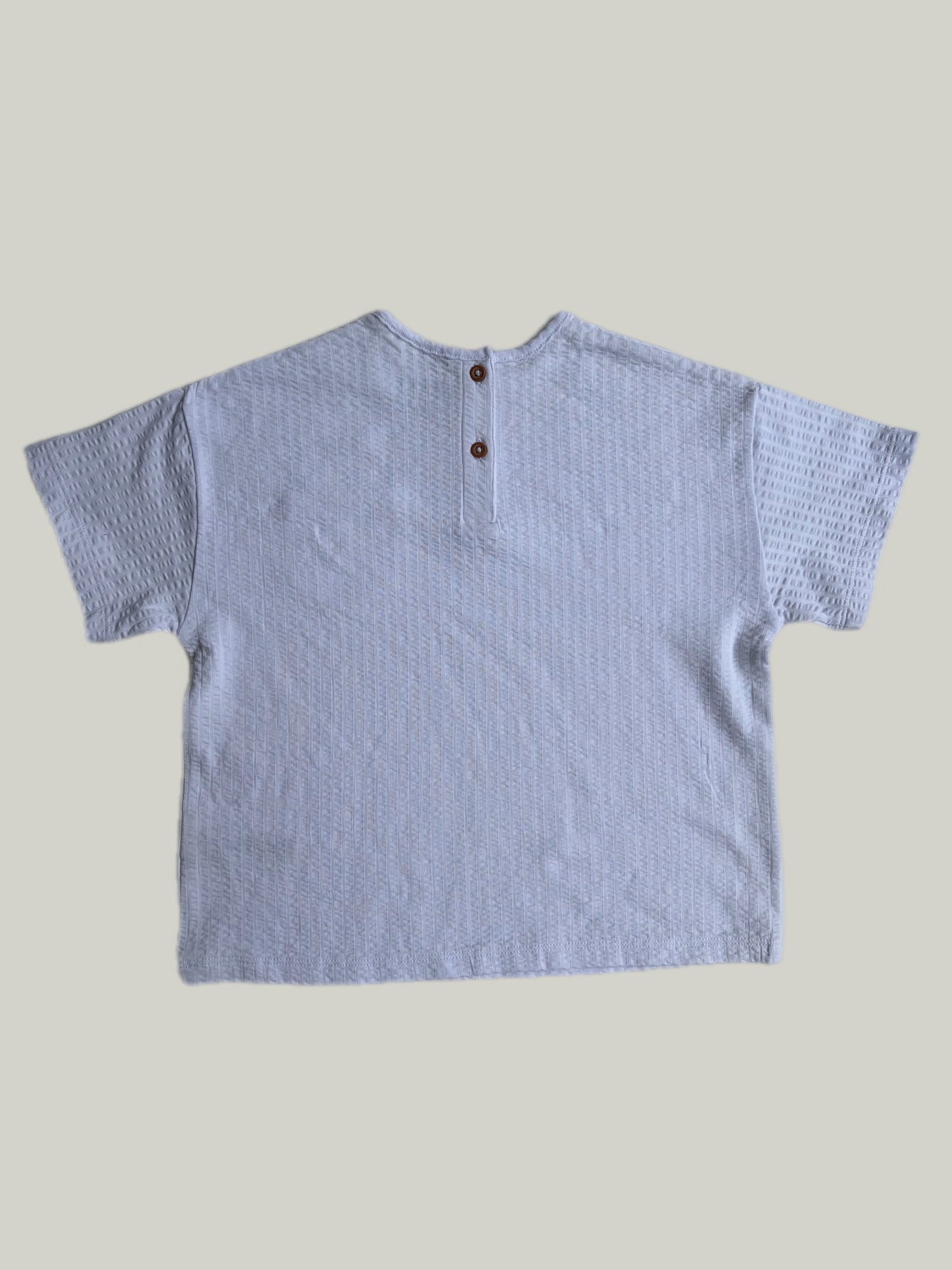 Next Cotton Short Sleeve T-shirt