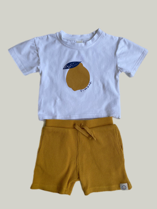 Like New George Cotton Set