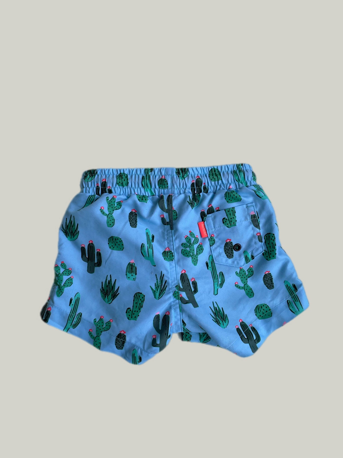 Brand New Sunuva Cactus Swim Shorts