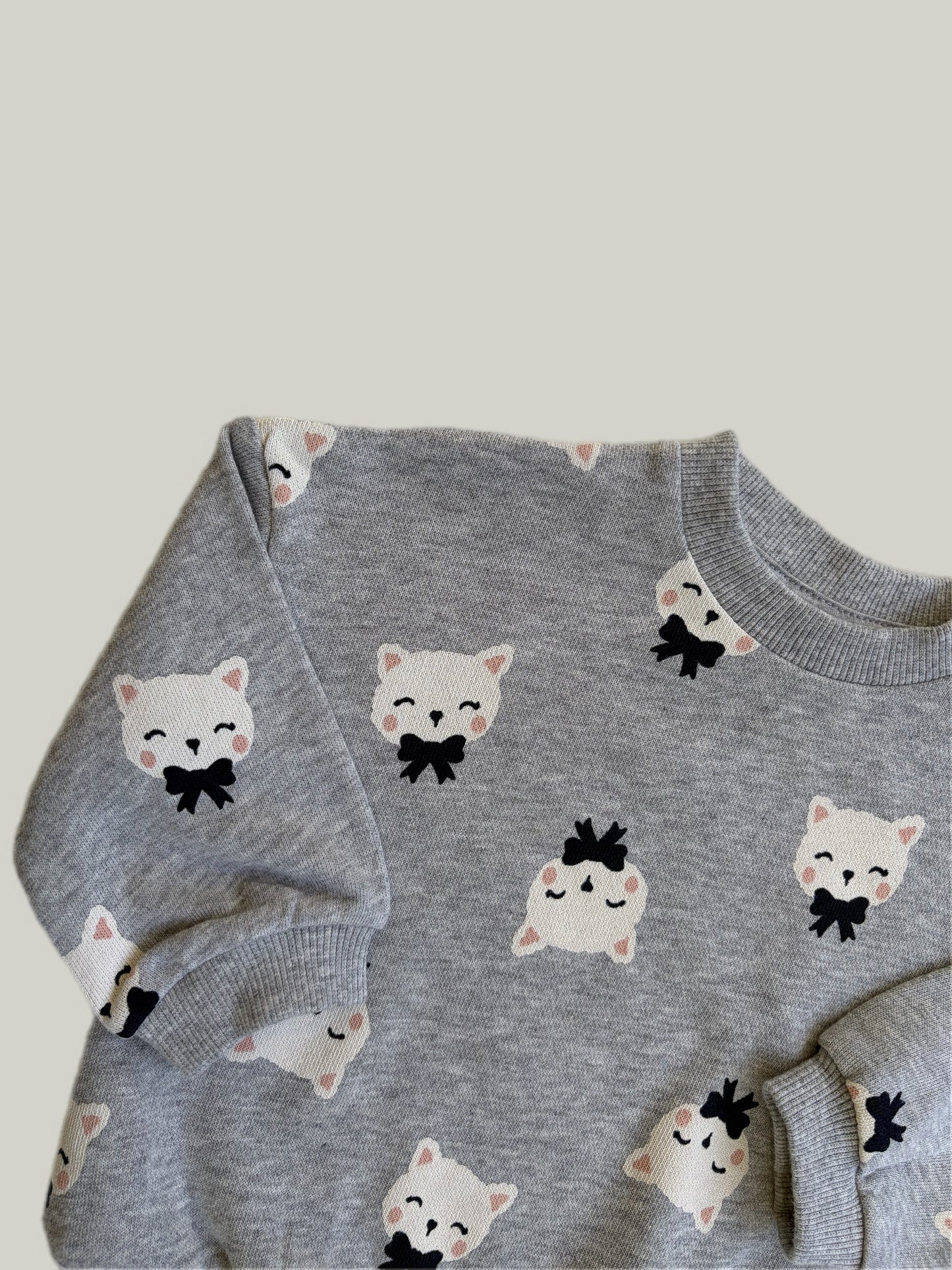 Brand New H&M Printed Sweatshirt