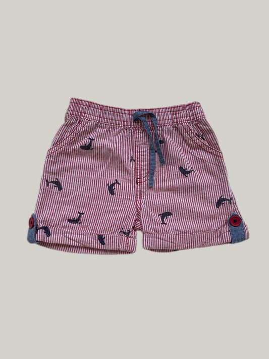 Good Condition Jainco Cotton Shorts