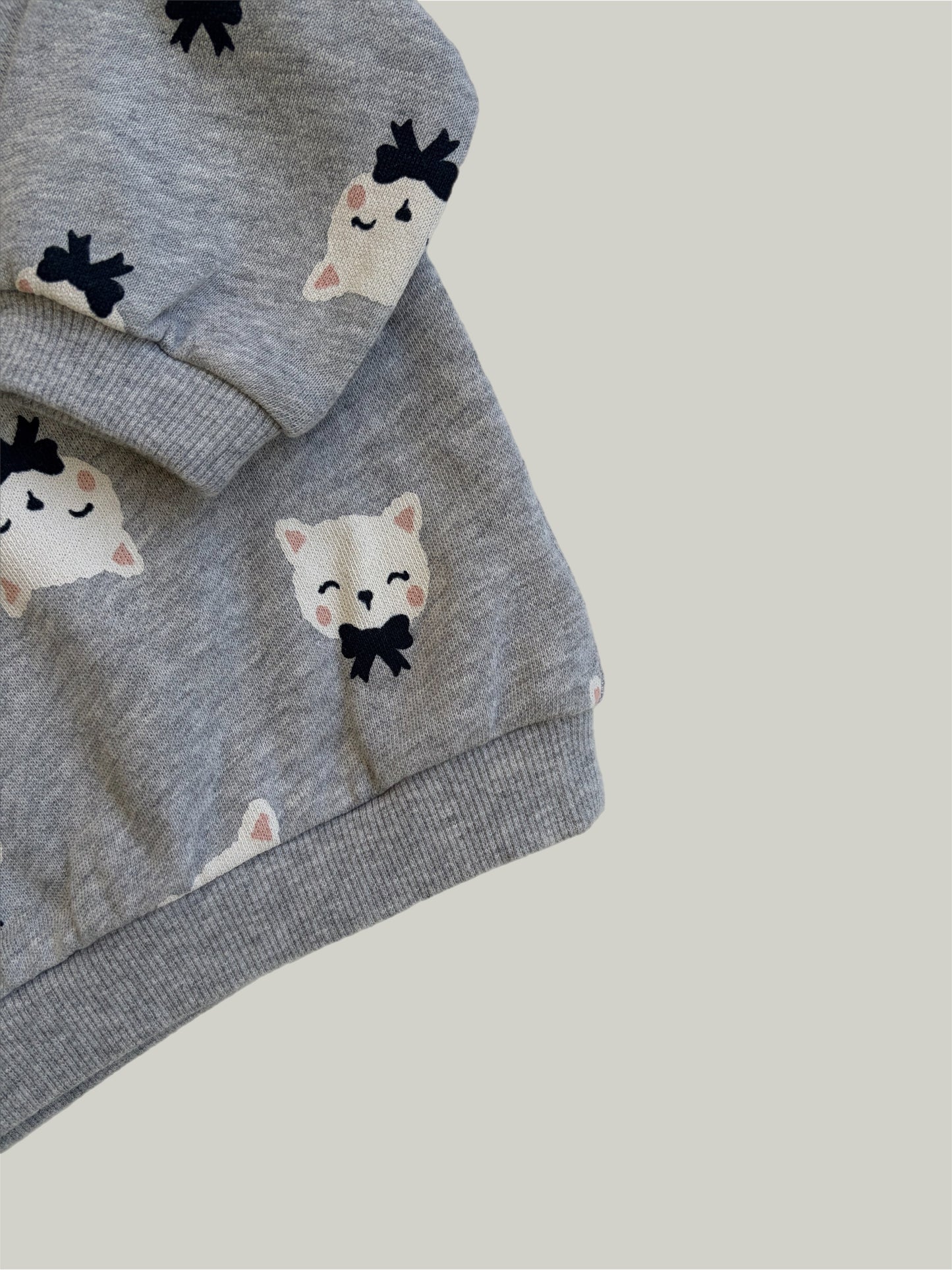 Brand New H&M Printed Sweatshirt