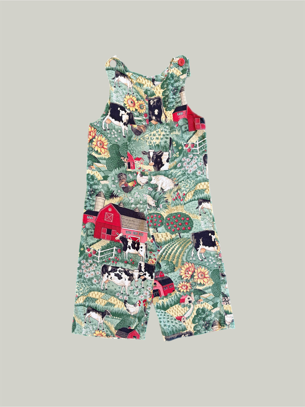 Brand New Romper 3 to 4 Years