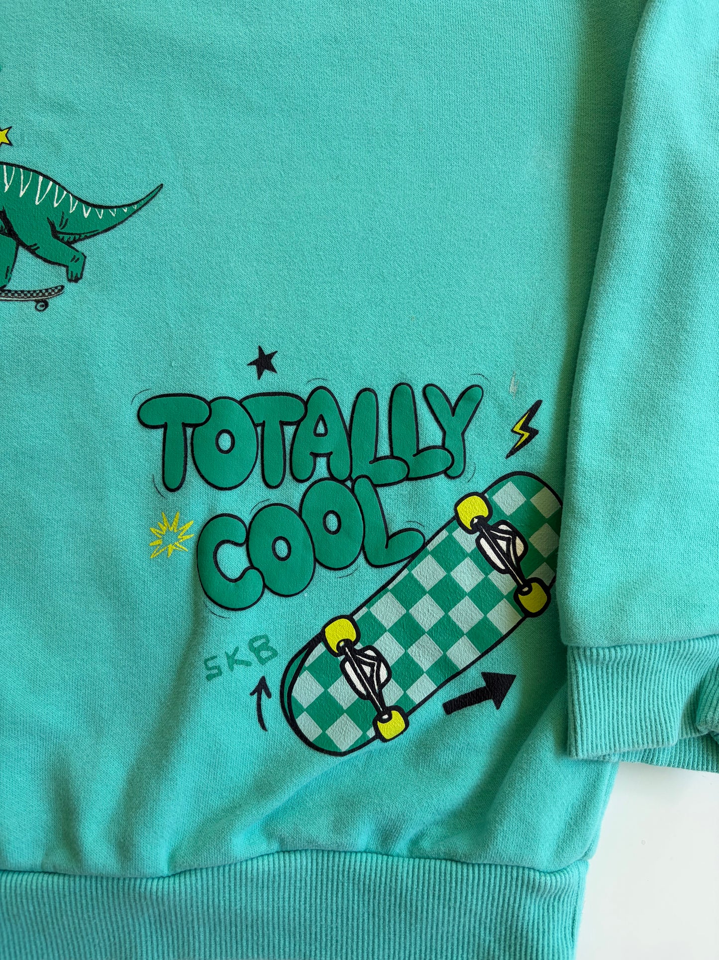 Like New Nutmeg Dinosaur Sweatshirt