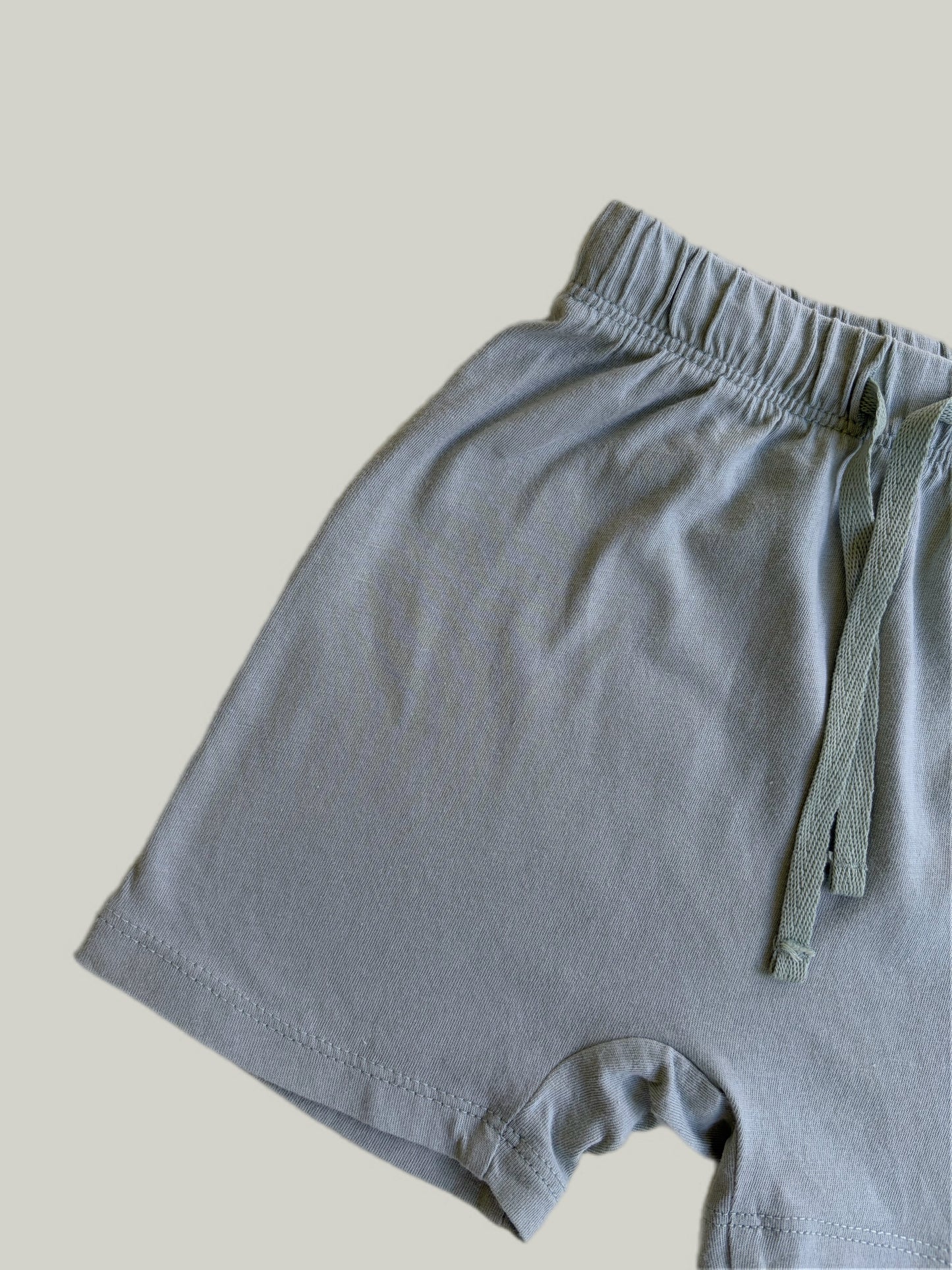 Like New H&M Organic Cotton Shorts
