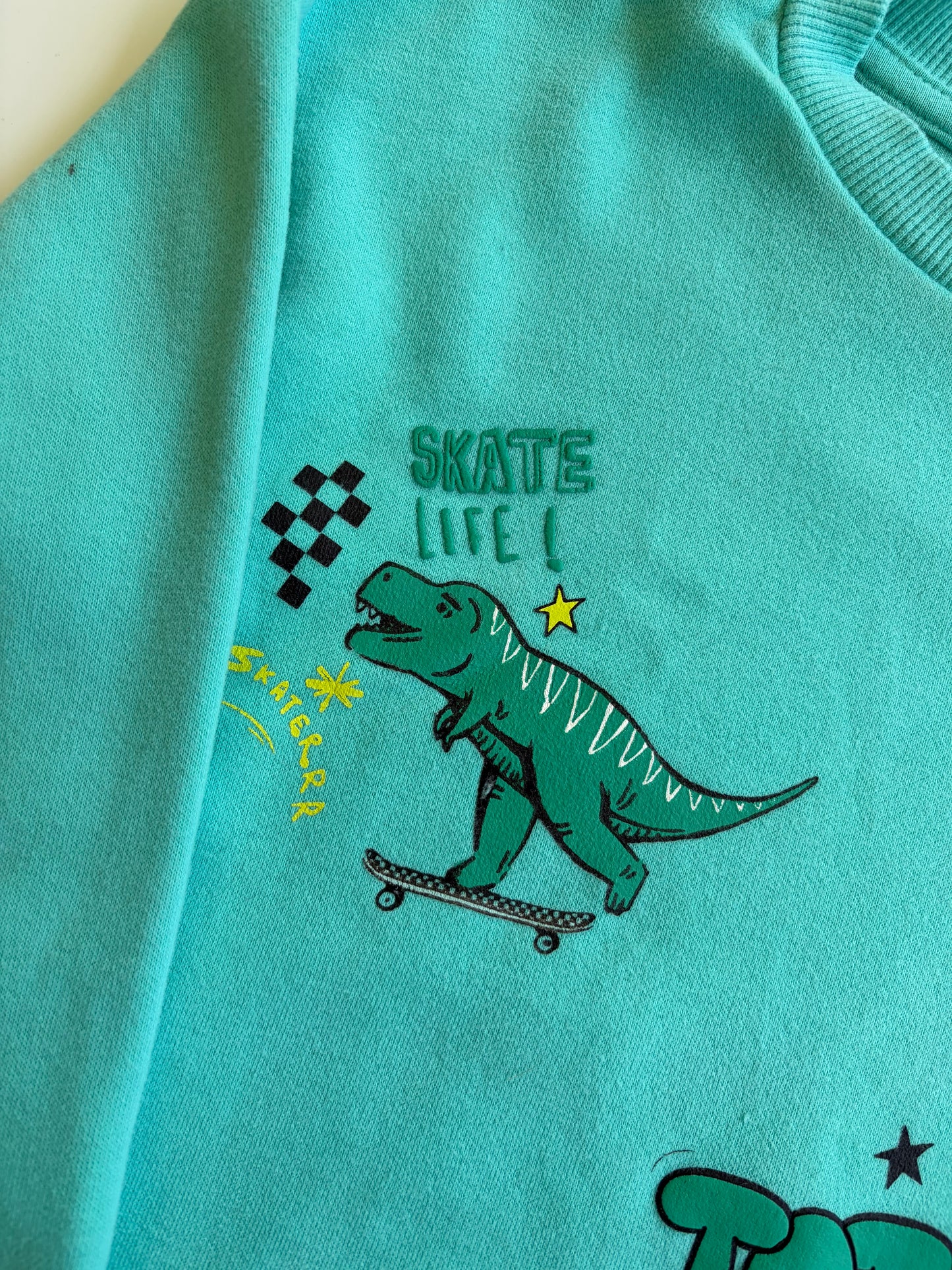 Like New Nutmeg Dinosaur Sweatshirt