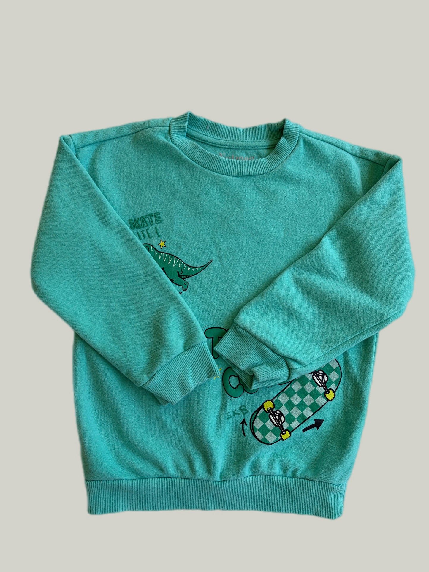 Like New Nutmeg Dinosaur Sweatshirt