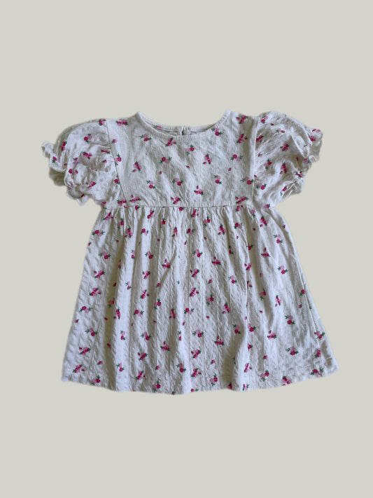 Like New Zara Baby Girl Floral Dress