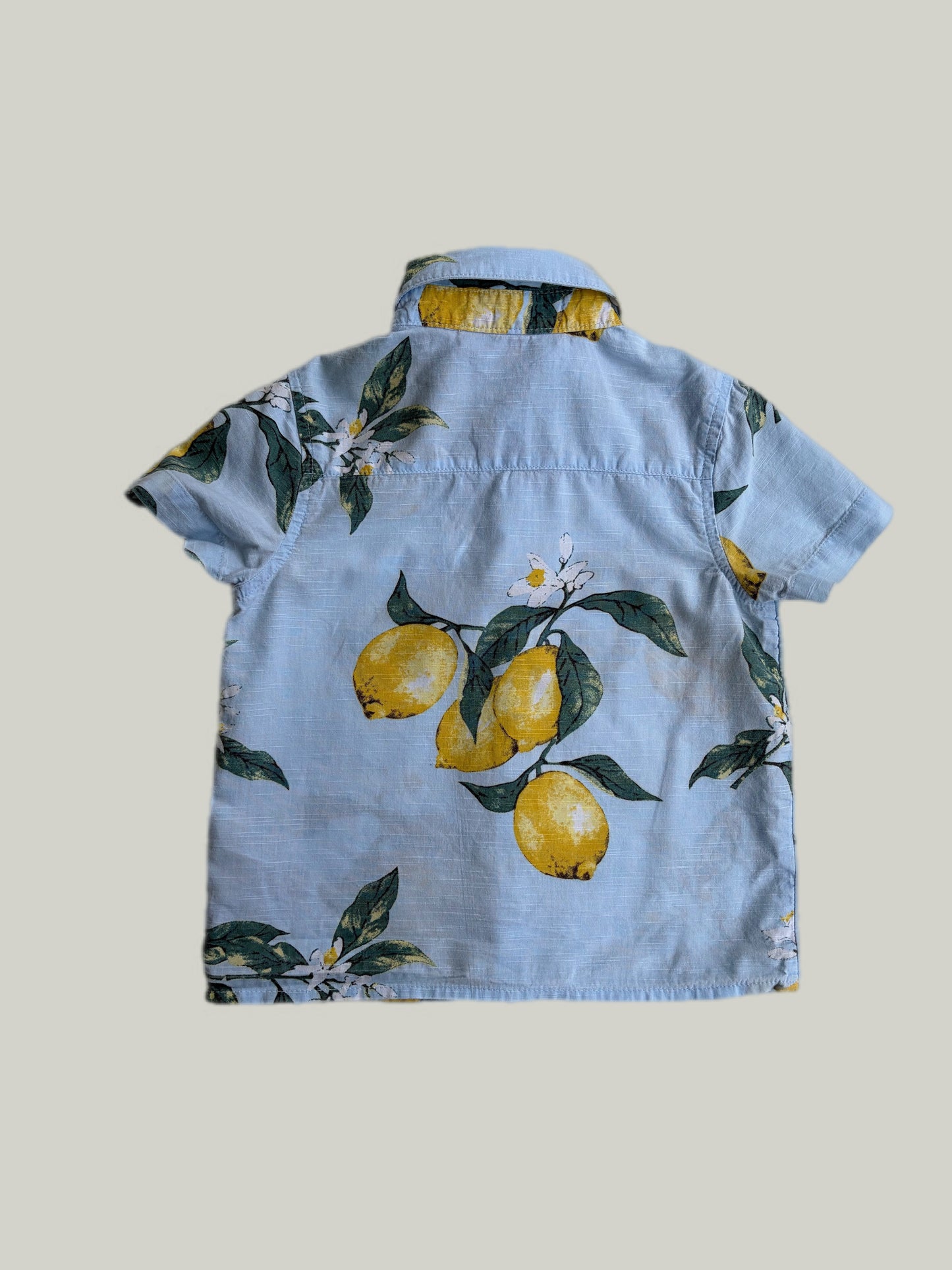 Good Condition Primark Summer T-shirt