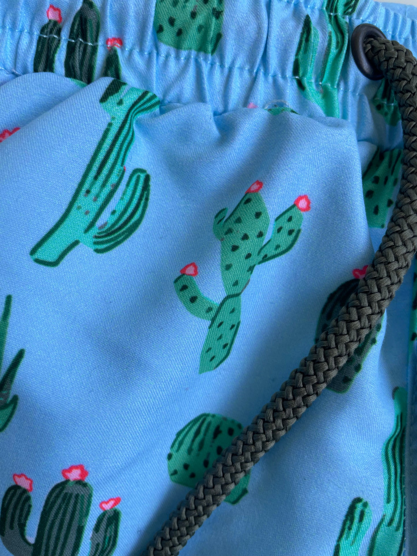Brand New Sunuva Cactus Swim Shorts